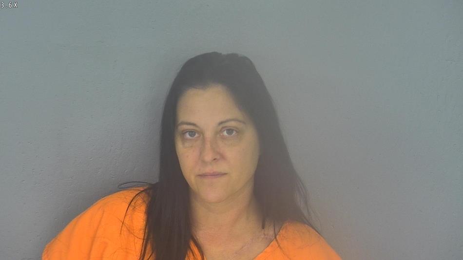 Arrest photo of KRISTI BROYLES