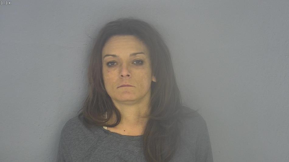 Arrest photo of KRISTI CONLON