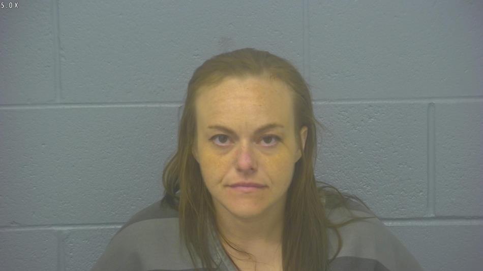 Arrest photo of KRISTIN BAKER