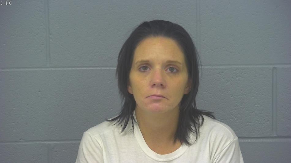 Arrest photo of KRISTIN LOVELADY