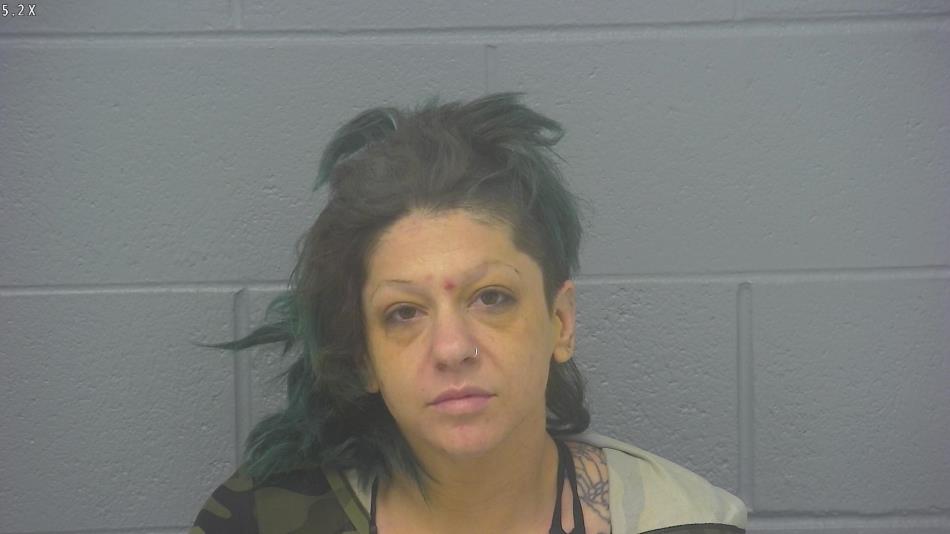 Arrest photo of KRISTIN KLINGLER