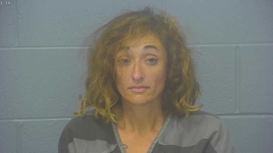 Arrest Photo of KRISTINA TOOLEY in Greene County, MO.