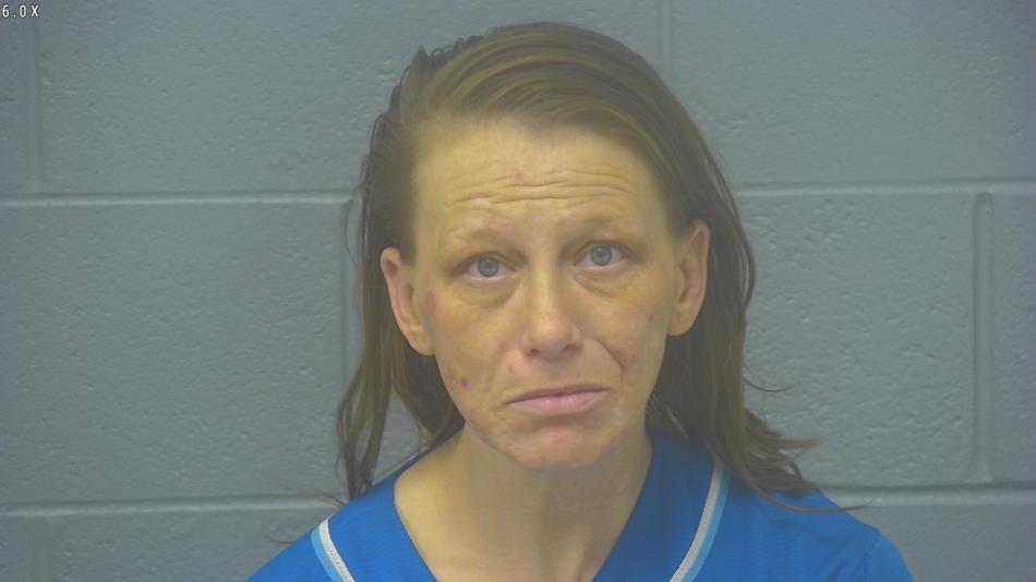 Arrest photo of KRISTINA BRADY