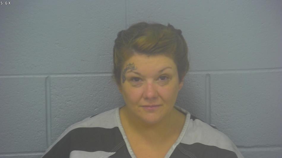 Arrest Photo of KRISTINA DISHMAN, arrested on 6/11/2024