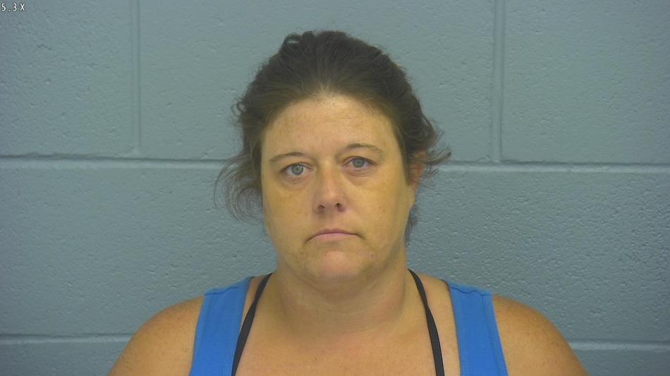 Arrest photo of KRISTY CONKLIN