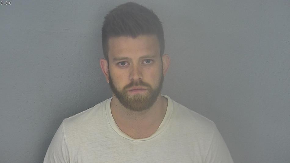 Arrest photo of KYLE LEE
