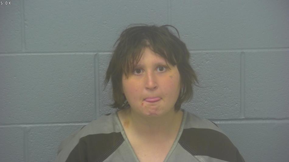 Arrest photo of KYLEE MILLER