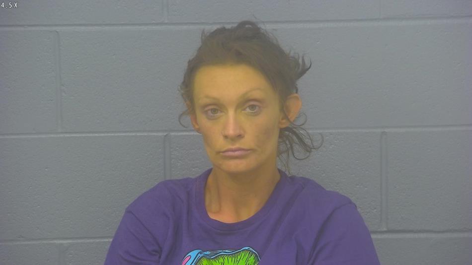 Arrest photo of LACEY DOTY