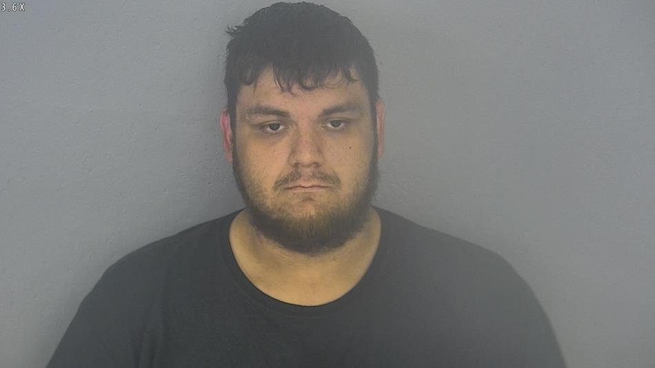 Arrest photo of LA CHAPELLE WASKOVIAK