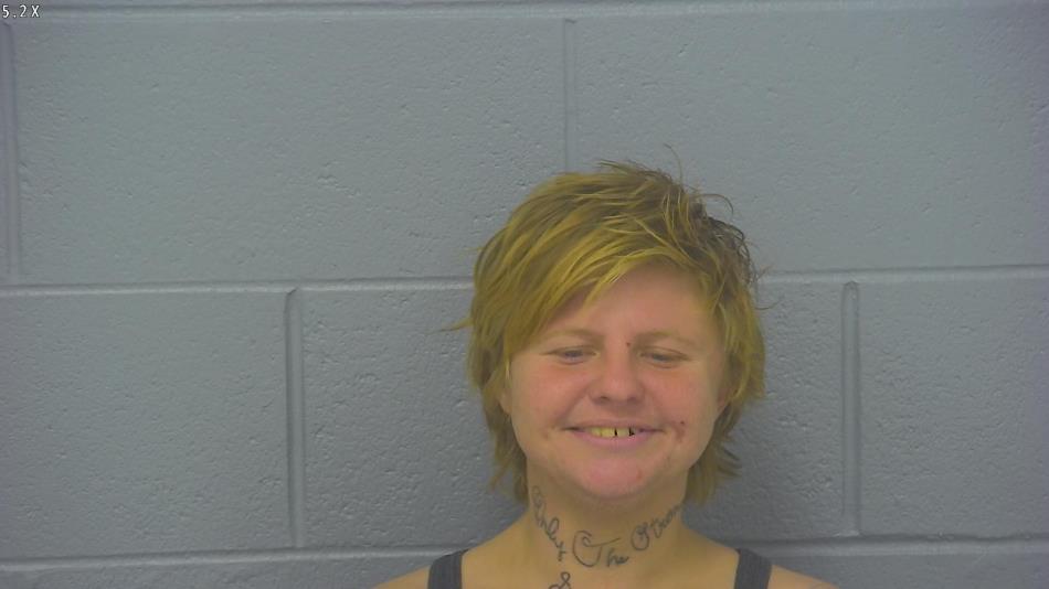 Arrest photo of LACIE  REED