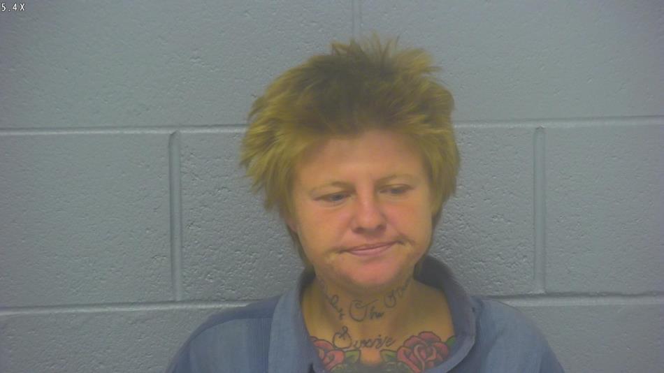 Arrest photo of LACIE  REED