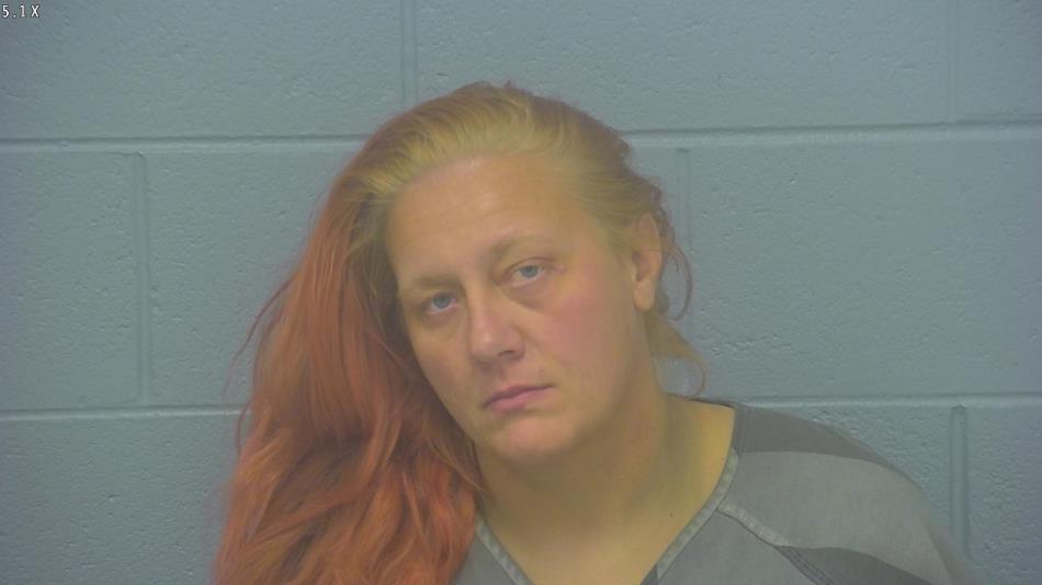 Arrest photo of LADAWN BAKERT