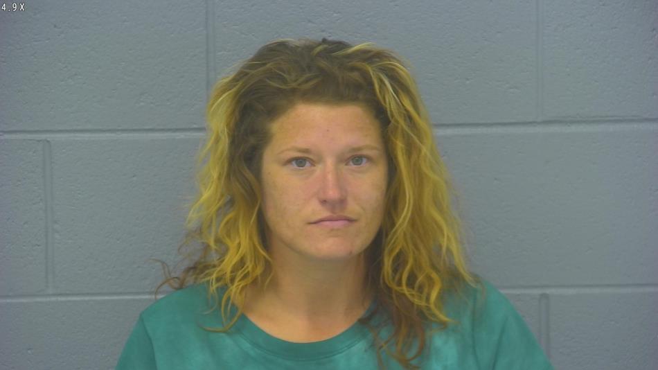 Arrest photo of LADAWNA STOKES