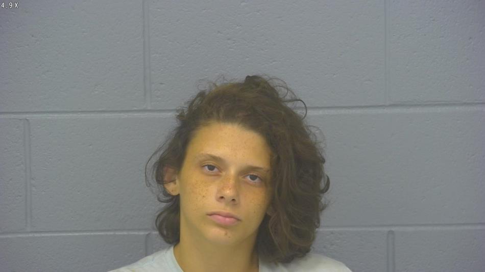 Arrest photo of LAHANA PAGE