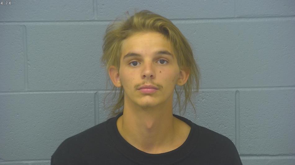 Arrest photo of LANDIN BRUNGARDT
