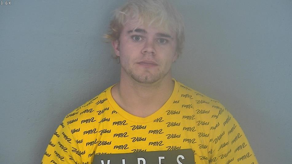 Arrest photo of LANDIN TEEDER