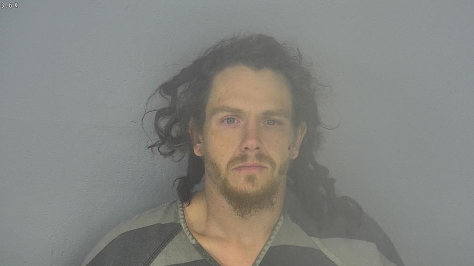 Arrest photo of LANDON CREASEY