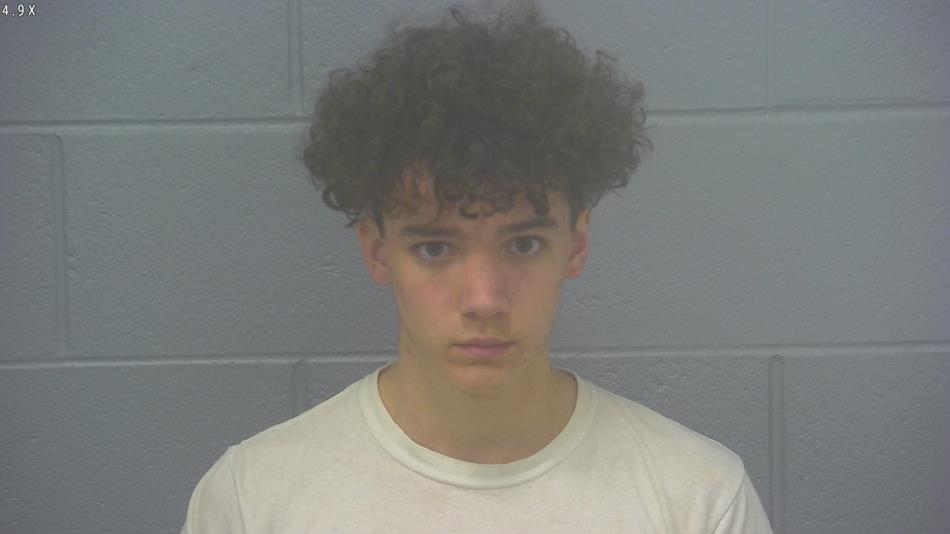 Arrest photo of LANDON DOVIDIO