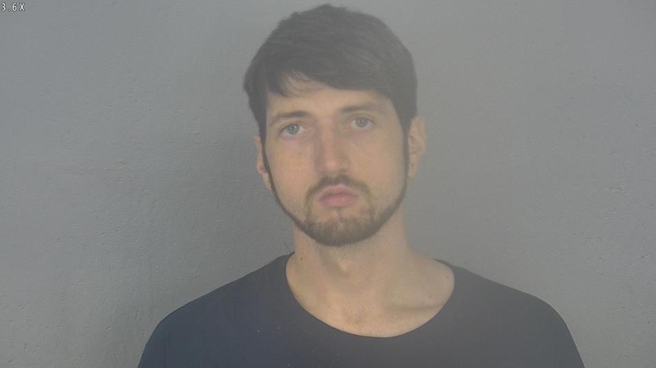 Arrest photo of LANE LEE