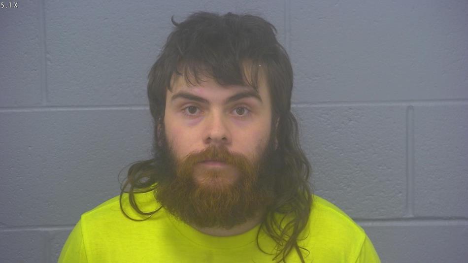 Arrest photo of LANE BARGER