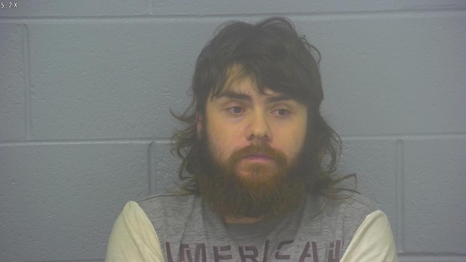 Arrest Photo of LANE BARGER, arrested on 11/10/2024