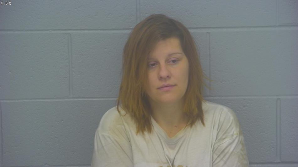 Arrest photo of LARISSA STEWART