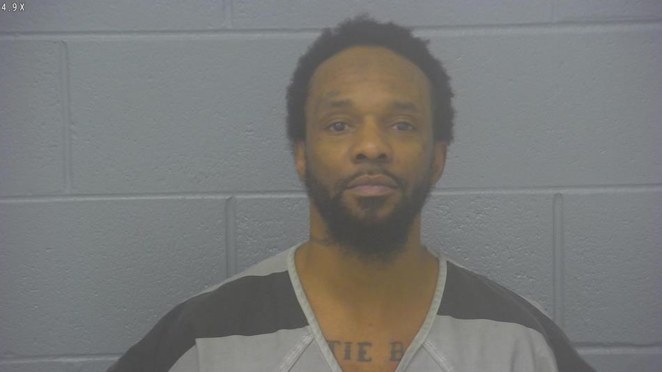 Arrest photo of LARRY LOTT