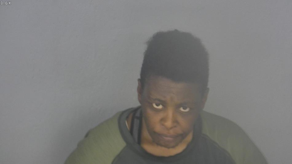 Arrest photo of LATOYA TUREAUD
