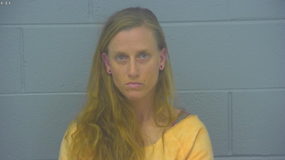 Arrest photo of LAURA MAYLEE