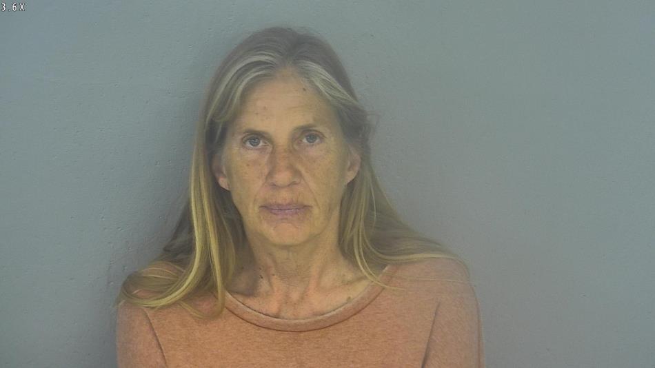 Arrest photo of LAURA MILLER