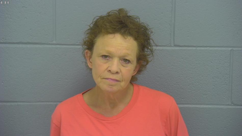 Arrest photo of LAURA LITTLES