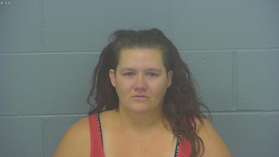 Arrest photo of LAURA SIPLES