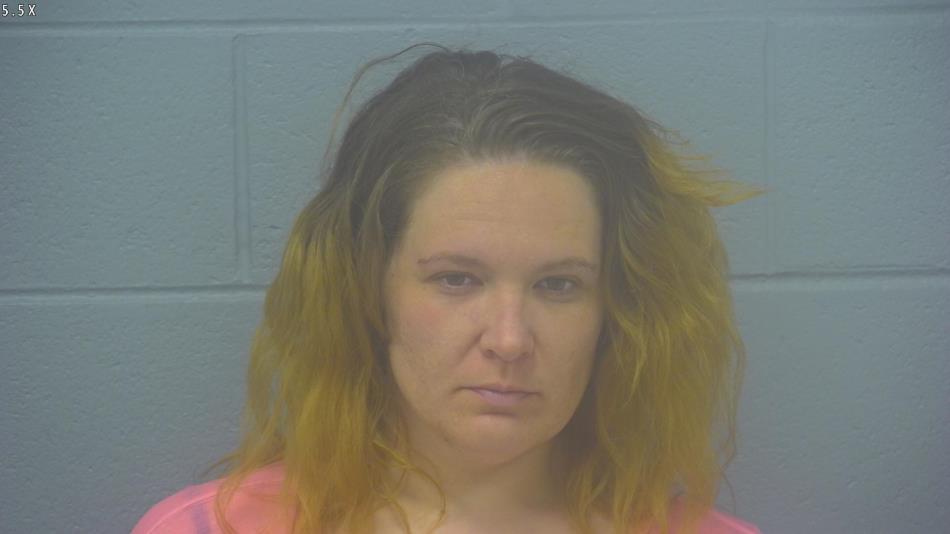 Arrest photo of LAURA WEGER