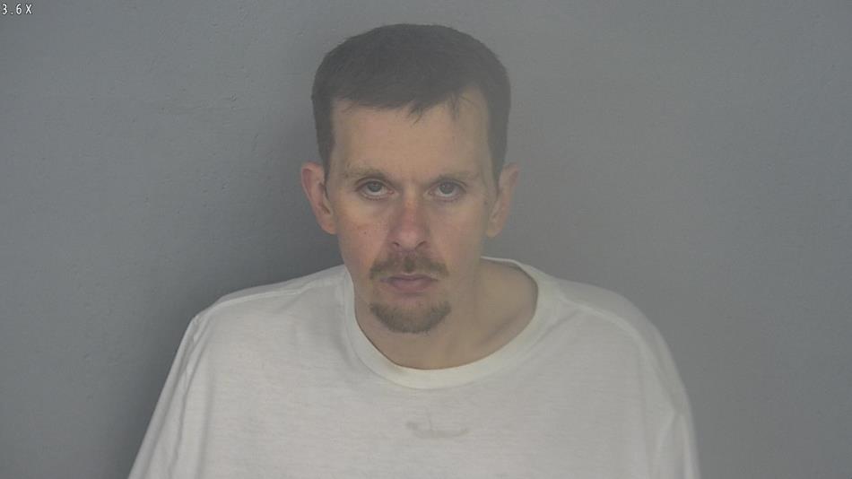 Arrest photo of LAUREN LITTLEFIELD