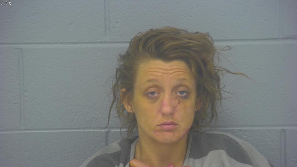 Arrest photo of LAUREN MORRIS