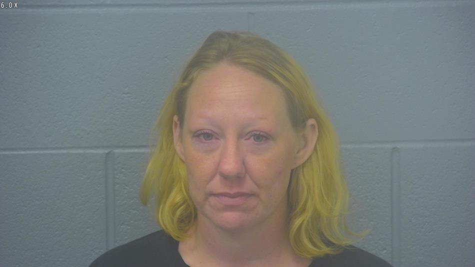 Arrest photo of LAUREN SNYDER