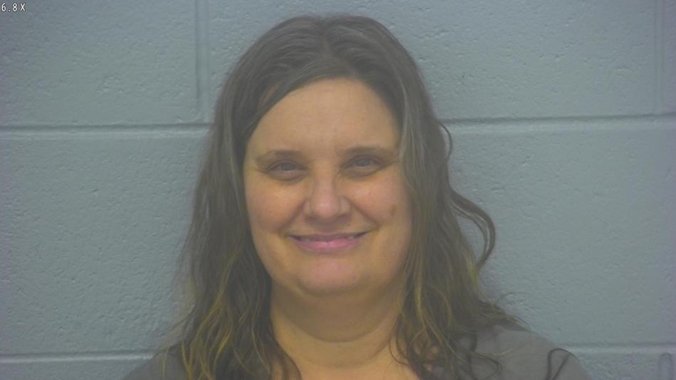 Arrest photo of LAURIE ABBE