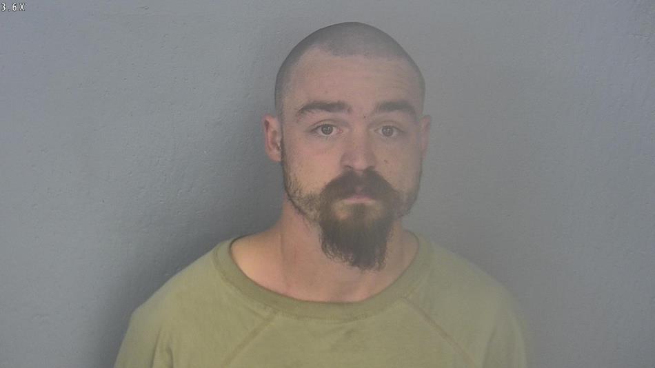 Arrest photo of LAYNE WALZ