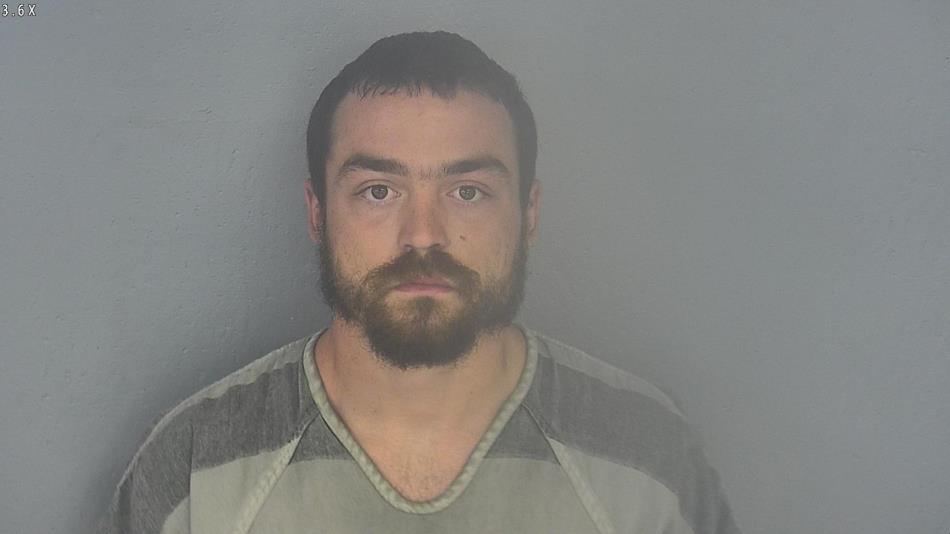 Arrest photo of LAYNE WALZ