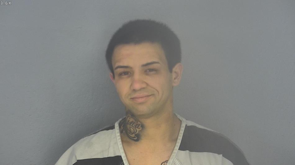Arrest photo of LEANDRO GATDULA