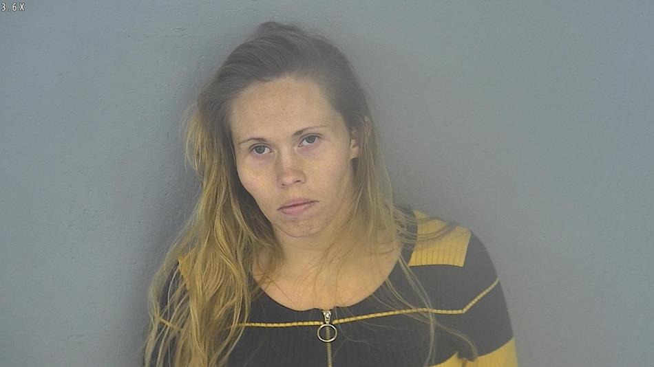 Arrest photo of LEANN BRITAIN