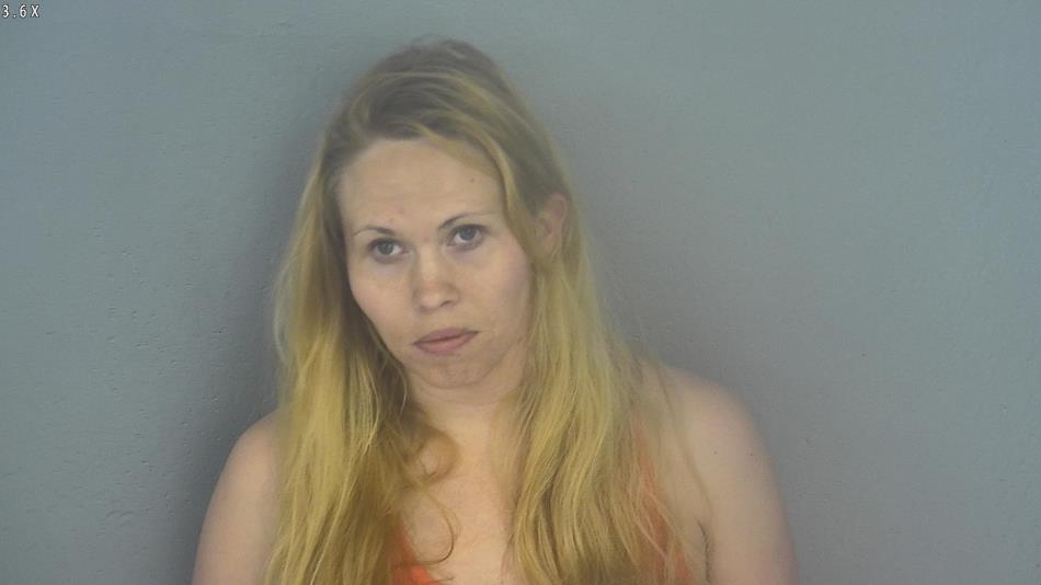 Arrest photo of LEANN BRITAIN