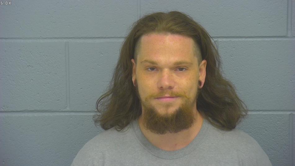 Arrest photo of LEE BRADLEY