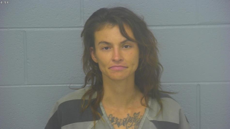 Arrest photo of LEEANNE BLAKEY