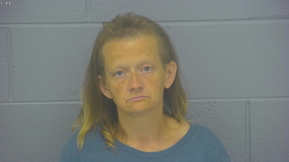 Arrest photo of LENORA SWINGER