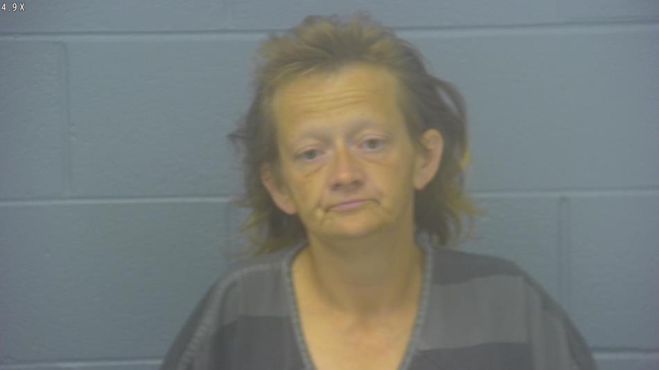 Arrest photo of LENORA SWINGER