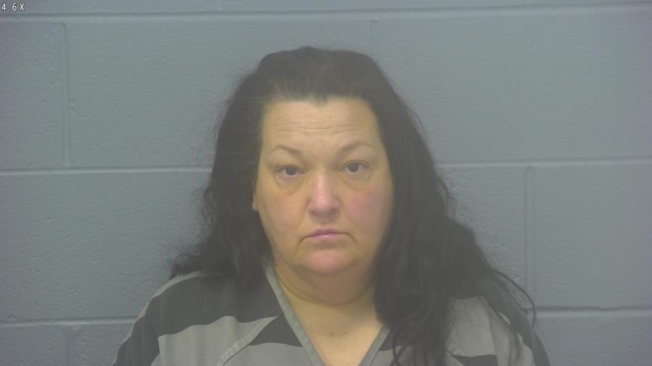 Arrest photo of LESA BONHAM