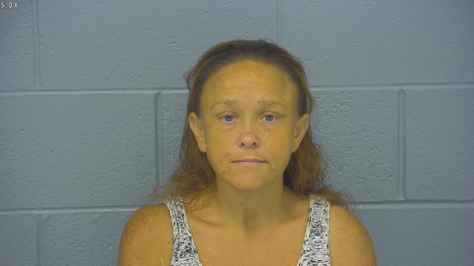 Arrest photo of LESLIE SOUTH
