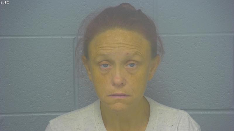 Arrest Photo of LESLIE SOUTH, arrested on 8/26/2025