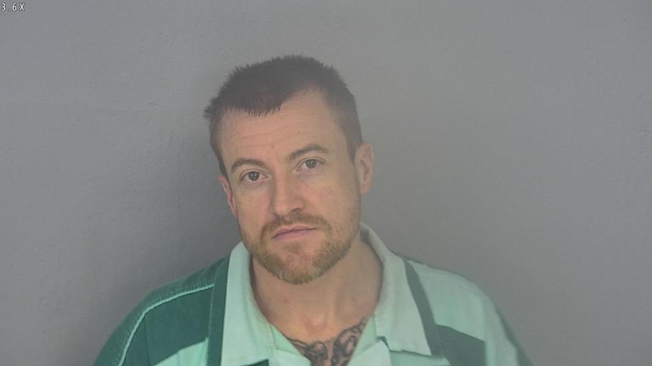 Arrest photo of LESLIE ICE